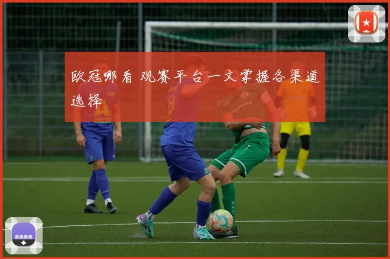 欧冠哪看 观赛平台一文掌握各渠道选择