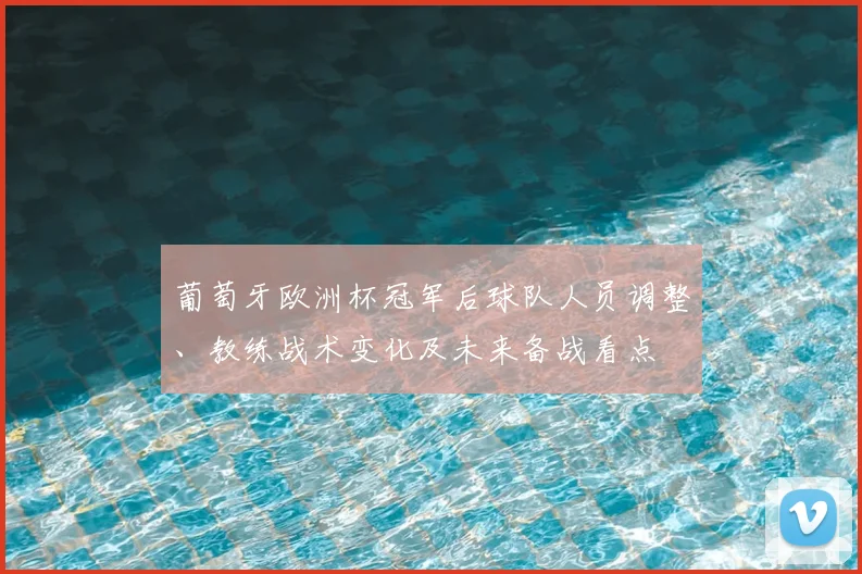 葡萄牙欧洲杯冠军后球队人员调整、教练战术变化及未来备战看点