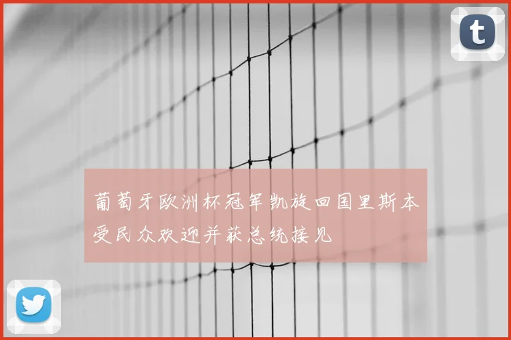葡萄牙欧洲杯冠军凯旋回国里斯本受民众欢迎并获总统接见