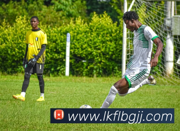 pg娱乐电子游戏官网最新版本服务体系